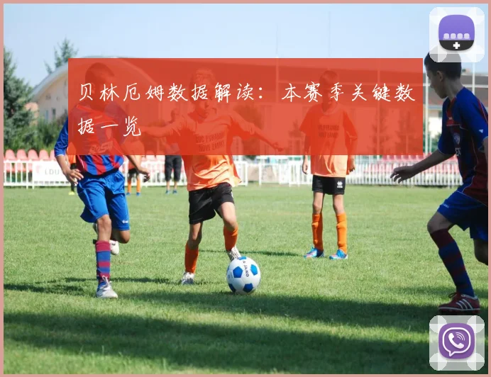 贝林厄姆数据解读：本赛季关键数据一览