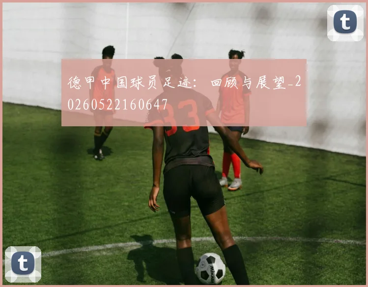 德甲中国球员足迹：回顾与展望_20260522160647