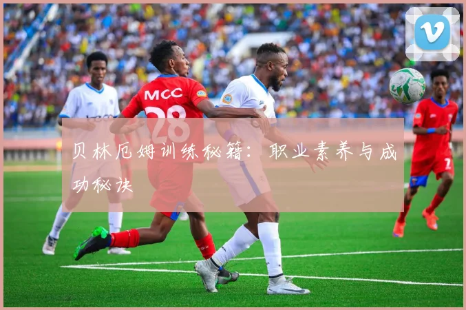 贝林厄姆训练秘籍：职业素养与成功秘诀